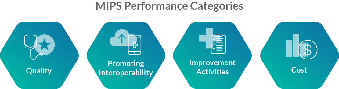 MIPS Performance Categories