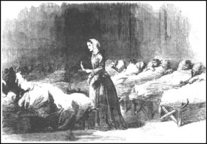 Florence Nightingale tends to patients 