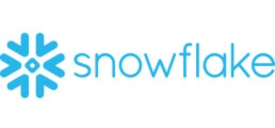 Snowflake Logo 2x